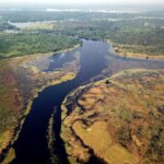 Aussi sombre que le thé – Des scientifiques résolvent le mystère des eaux sombres de la rivière Ruki Ruki River Congo Basin