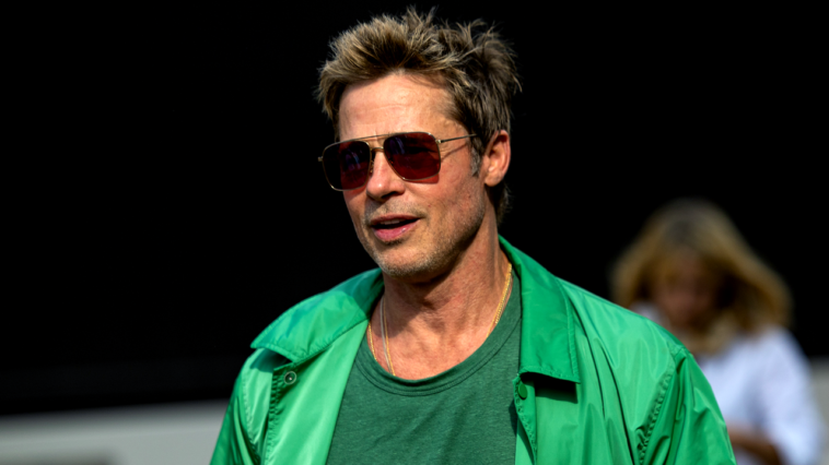 Brad Pitt « se débrouille très bien avec Ines »