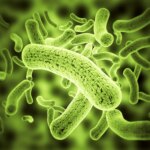 Crise sanitaire mondiale : les antibiotiques contre les infections infantiles courantes ne fonctionnent plus Green Glowing Bacteria
