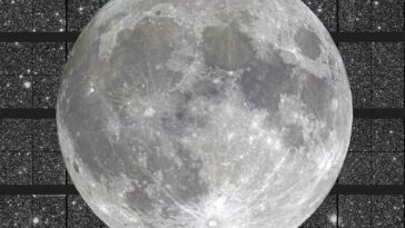 Euclid Wide View Moon Overlay