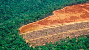 Deforestation in Amazon