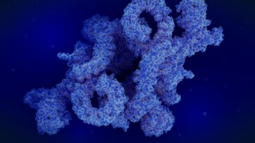 Protein Complex