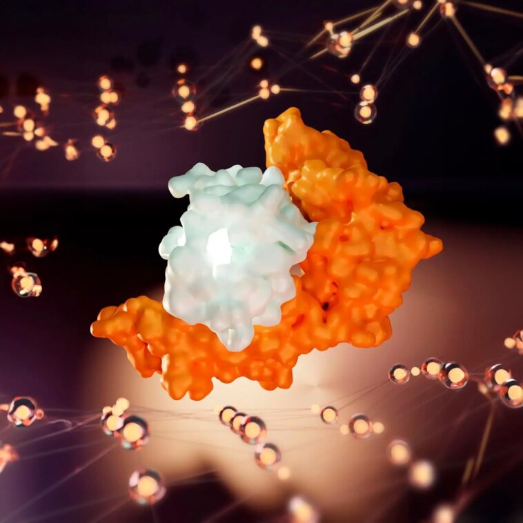Découvrir le mystère génétique : pourquoi certains ne présentent jamais de symptômes du COVID-19 Human Leukocyte Antigen B Interacts With SARS-CoV-2