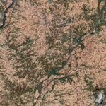 Des champs aux fêtes : la maîtrise de l'Illinois dans la production de citrouilles Des champs aux fêtes : la maîtrise de l'Illinois dans la production de citrouilles