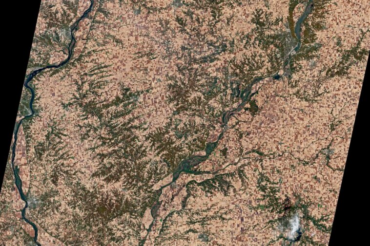 Des champs aux fêtes : la maîtrise de l'Illinois dans la production de citrouilles Des champs aux fêtes : la maîtrise de l'Illinois dans la production de citrouilles