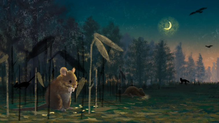 Mice and Mast Seeding Plants