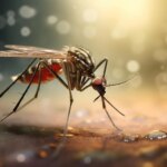 Des scientifiques découvrent une solution potentielle étonnamment simple au paludisme Malaria Mosquito