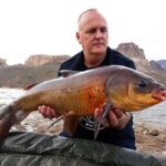 Des scientifiques ont découvert certains des animaux les plus anciens du monde vivant dans un endroit auquel on ne s'attendrait pas Century Old Buffalofish