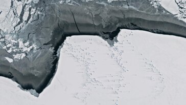 Emerald Intruder : le mystérieux iceberg vert de l’Antarctique de l’Est