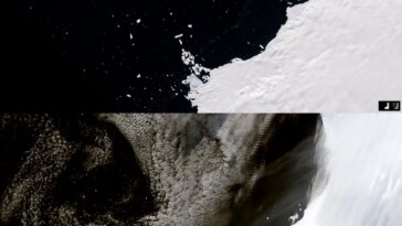 Satellite Images of Shrinking Glaciers Along Western Antarctica