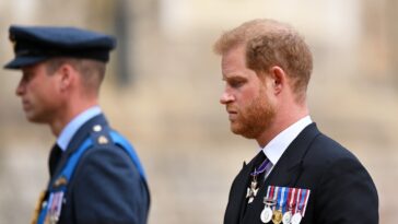 "Il n'y a pas de retour en arrière" pour le prince Harry et le prince William, déclare un biographe royal