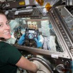 Impossible à réaliser sur Terre : découvrir les secrets du vieillissement et de l'immunité en microgravité Impossible à réaliser sur Terre : découvrir les secrets du vieillissement et de l'immunité en microgravité