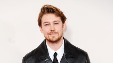Joe Alwyn a émergé