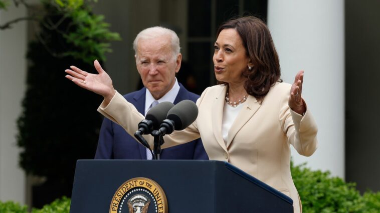 Joe Biden est « très vivant », déclare Kamala Harris à propos de ses inquiétudes concernant son âge Joe Biden est « très vivant », déclare Kamala Harris à propos de ses inquiétudes concernant son âge