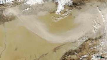 La Grande Muraille Verte : la lutte de la Chine contre la désertification