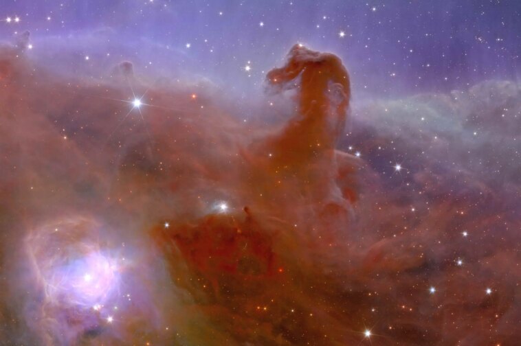 Euclid Horsehead Nebula