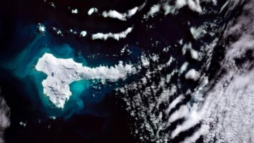 La majestueuse île des éléphants de l'Antarctique capturée depuis l'espace