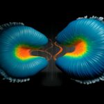 L'avenir de la biologie : décoder la mécanique cellulaire et tissulaire en 3D avec la théorie de la matière active Cellular Mechanics in 3D