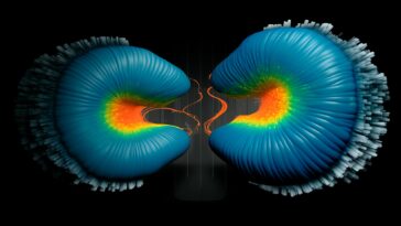 Cellular Mechanics in 3D