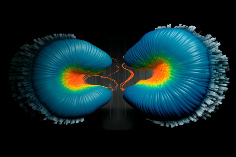 Cellular Mechanics in 3D
