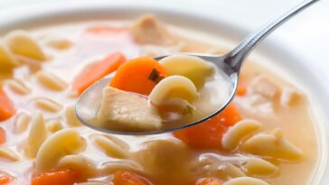 Chicken Noodle Soup Close