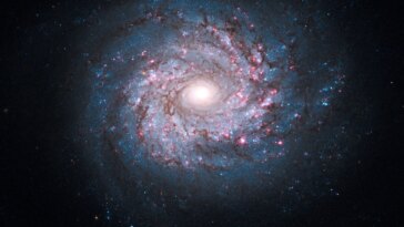 Le rose et le bleu rendent cosmique : les usines à étoiles à couper le souffle de NGC 3982