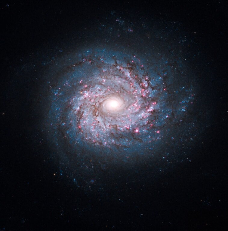 Le rose et le bleu rendent cosmique : les usines à étoiles à couper le souffle de NGC 3982 Le rose et le bleu rendent cosmique : les usines à étoiles à couper le souffle de NGC 3982