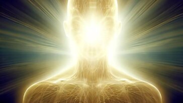 Glowing Human Lifespan Longevity