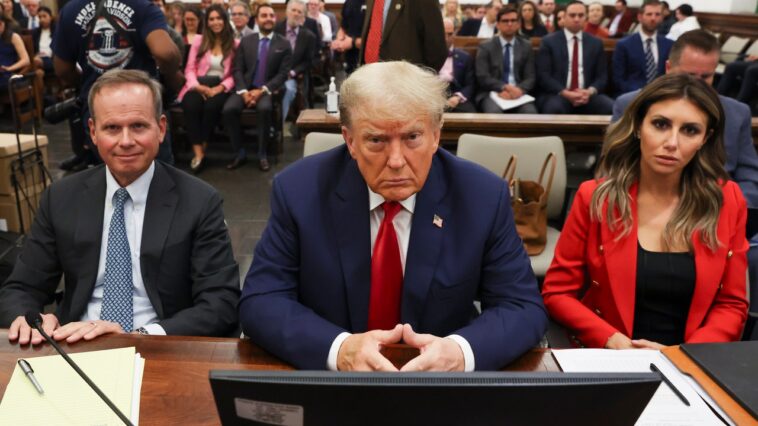 Les attaques de Trump contre un juge et un auxiliaire de justice déclenchent des « centaines » de menaces : rapport Les attaques de Trump contre un juge et un auxiliaire de justice déclenchent des « centaines » de menaces : rapport