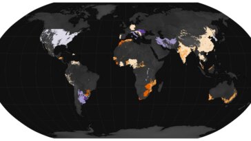 Les jeux de pluie d'El Niño : une crise mondiale de la faim ?