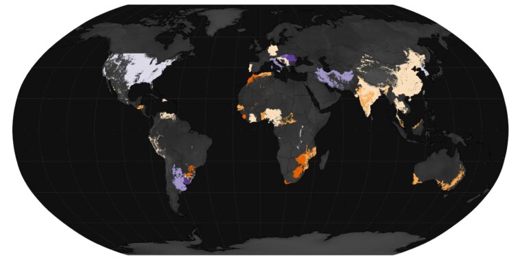 Les jeux de pluie d'El Niño : une crise mondiale de la faim ?