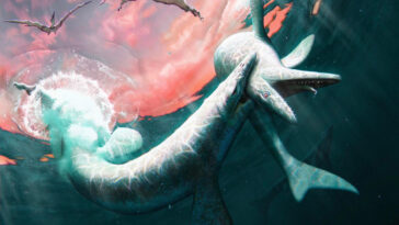 Two Jormungandr Walhallaensis Mosasaurs Fighting