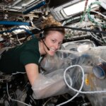 Mystères de la microgravité : bactéries, vieillissement cérébral et cellules sensibles à la gravité dans l'espace Mystères de la microgravité : bactéries, vieillissement cérébral et cellules sensibles à la gravité dans l'espace