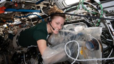 Mystères de la microgravité : bactéries, vieillissement cérébral et cellules sensibles à la gravité dans l'espace