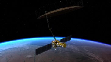 Forest in Tikal National Park