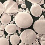 Wheat Starch Granules Microscope