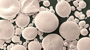 Wheat Starch Granules Microscope