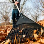 Raking Leaves