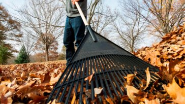 Raking Leaves