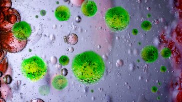 Meningitis Bacterial Infection