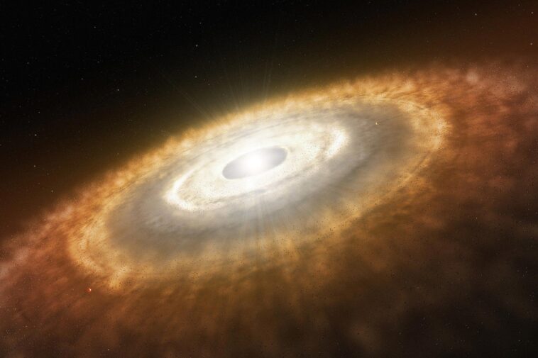 Young Star Surrounded by Protoplanetary Disk