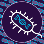 New Rare CRISPR Systems in Bacterial Genomes