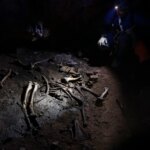 Une façon inattendue de voyager dans le temps – L'astuce d'un scientifique citoyen dévoile 3 000 ans d'évolution des mammifères Une façon inattendue de voyager dans le temps – L'astuce d'un scientifique citoyen dévoile 3 000 ans d'évolution des mammifères