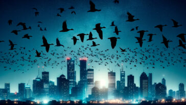 Birds City Lights Art