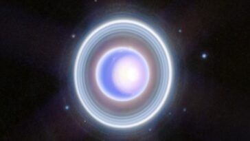 SciTechDaily