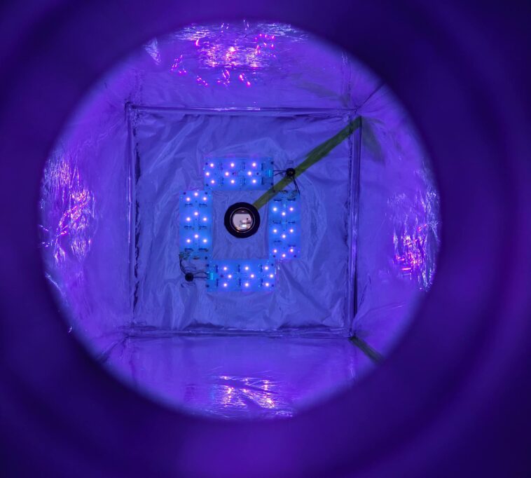 Briser la barrière du méthane : un nettoyant innovant destiné à révolutionner les émissions agricoles SciTechDaily