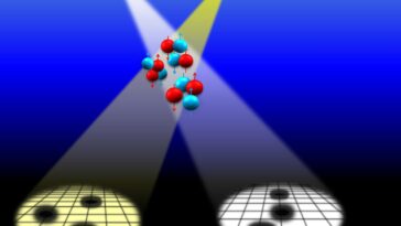 SciTechDaily