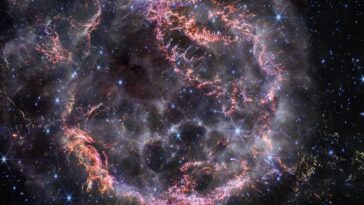 SciTechDaily