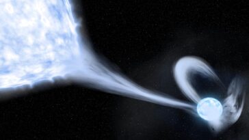 SciTechDaily