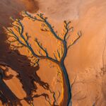 Jiangxi Poyang Lake River Drought